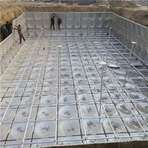 合肥市肥西縣科技學院